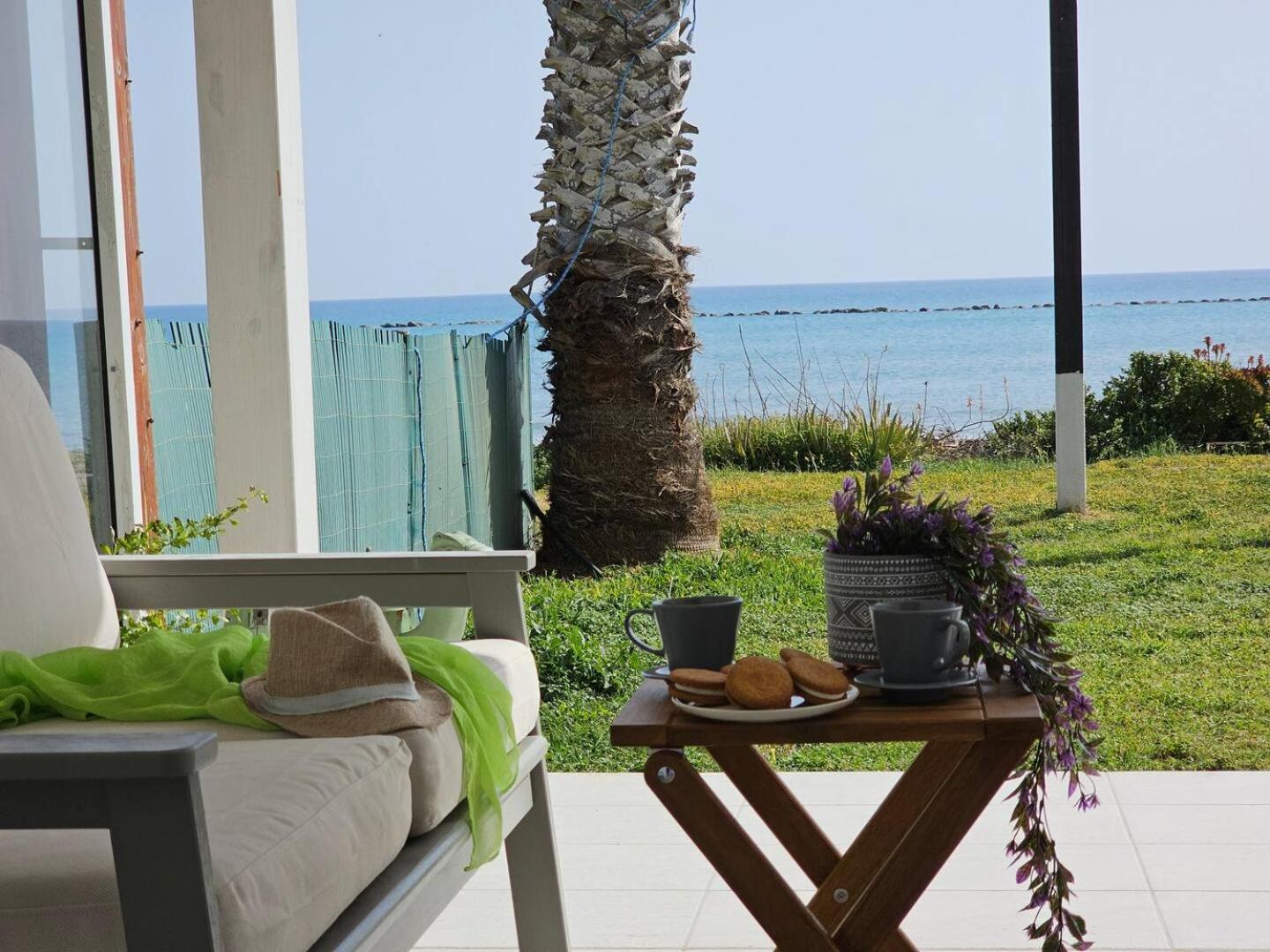 Ammos Beachfront Villa Paradise ラルナカ エクステリア 写真